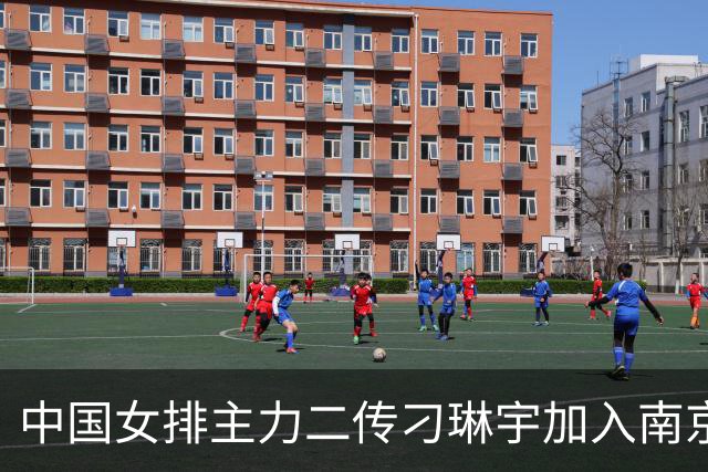 中国女排主力二传刁琳宇加入南京农业大学体育部