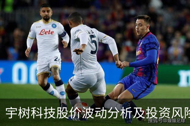 宇树科技股价波动分析及投资风险评估