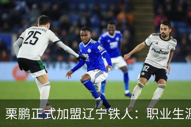栗鹏正式加盟辽宁铁人:职业生涯综述及其影响分析